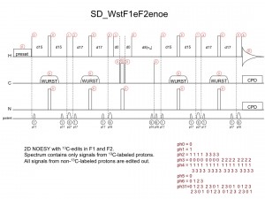 SD_WstF1eF2enoe1