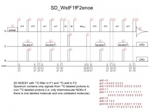 SD_WstF1fF2enoe1