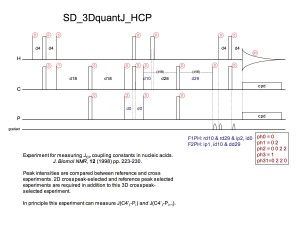 SD_quantJ_HCP1