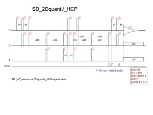 SD_quantJ_HCP2