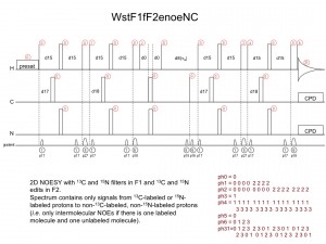 WstF1fF2enoeNC1