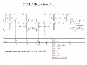 CEST_15N_protein_1